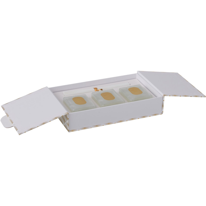 Coffret Diffuseur de parfum Senteur Fraîche Rainbow Reef Midnight Deluxe 150 ml en Verre - 3