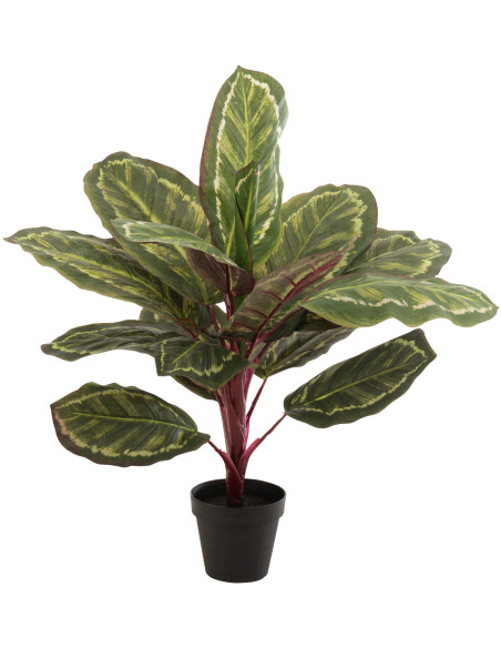 Plante artificielle Calathea makoyana Hauteur 70 cm en Plastique Vert Avec pot - 1
