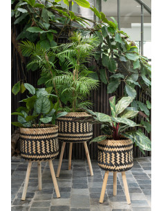 Plante artificielle Potos Epipremnum aureum Hauteur 70 cm en Plastique Vert Avec pot - 1 2