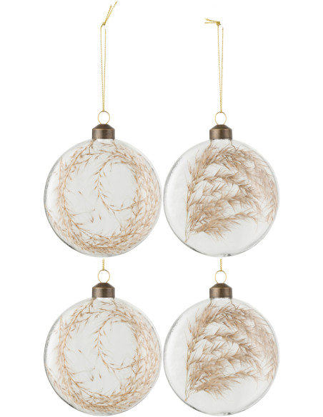 Boule de Noël Plate en Verre Transparent Pampas séchées Naturel (Lot de 4) - 1