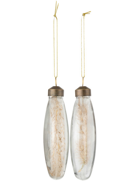 Boule de Noël Plate en Verre Transparent Pampas séchées Naturel (Lot de 4) - 3