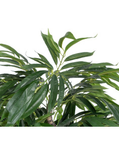 Arbre artificiel Grande taille Eucalyptus 160 cm en Plastique Vert - 2