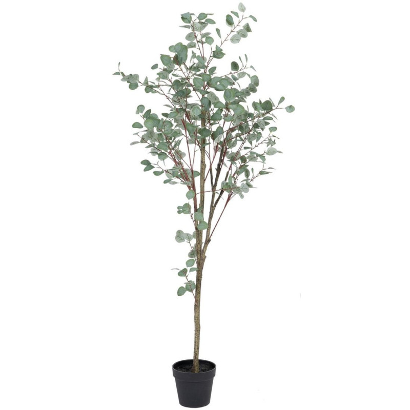Plante artificielle Eucalyptus 180 cm en Plastique Vert - 1