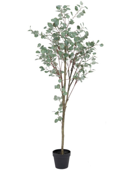 Plante artificielle Eucalyptus 180 cm en Plastique Vert - 1