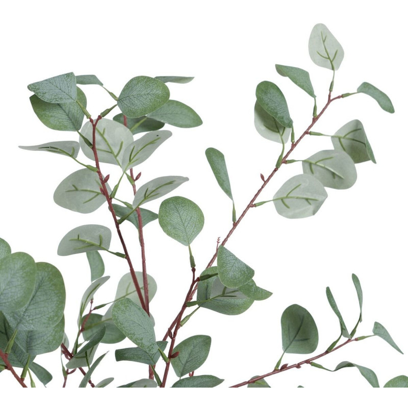 Plante artificielle Eucalyptus 180 cm en Plastique Vert - 2