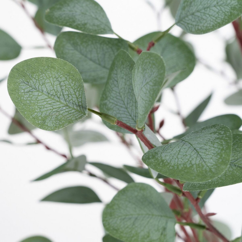 Plante artificielle Eucalyptus 180 cm en Plastique Vert - 3