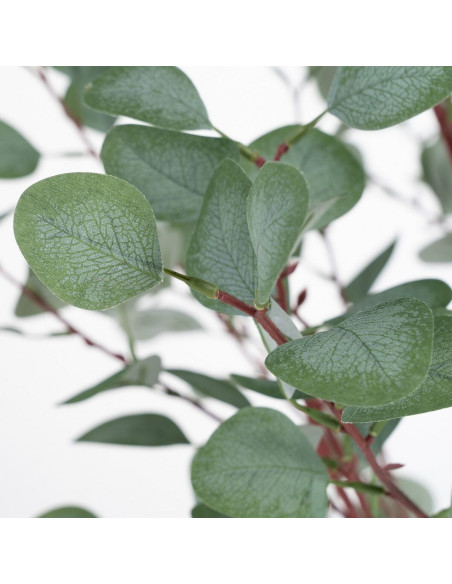 Plante artificielle Eucalyptus 180 cm en Plastique Vert - 3