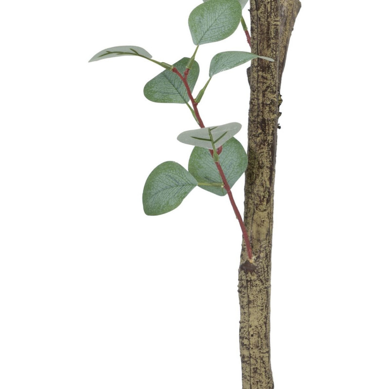 Plante artificielle Eucalyptus 180 cm en Plastique Vert - 4