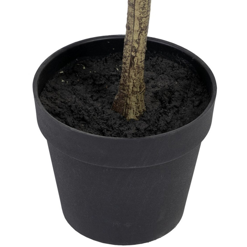Plante artificielle Eucalyptus 180 cm en Plastique Vert - 5