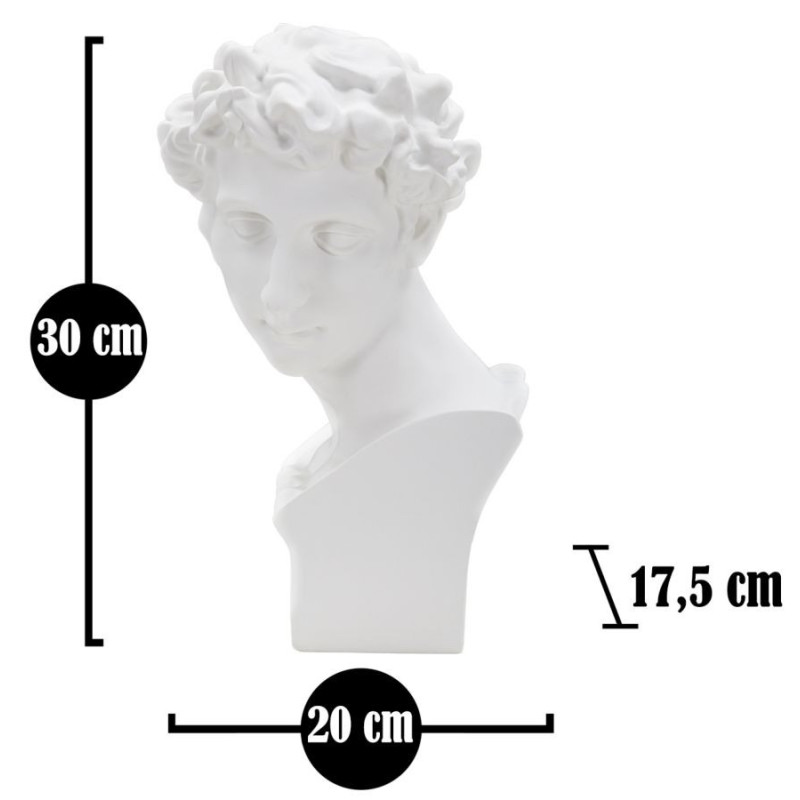 Statuette déco Buste Homme antique Hauteur 30 cm en Résine Blanc Rylae 