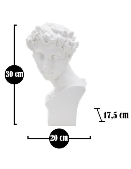 Statuette déco Buste Homme antique Hauteur 30 cm en Résine Blanc Rylae 