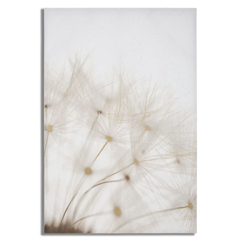 Toile murale imprimée et peinte Pissenlit Blanc Doré 80x120 Dandelion 