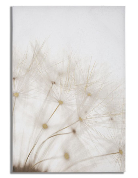 Toile murale imprimée et peinte Pissenlit Blanc Doré 80x120 Dandelion 