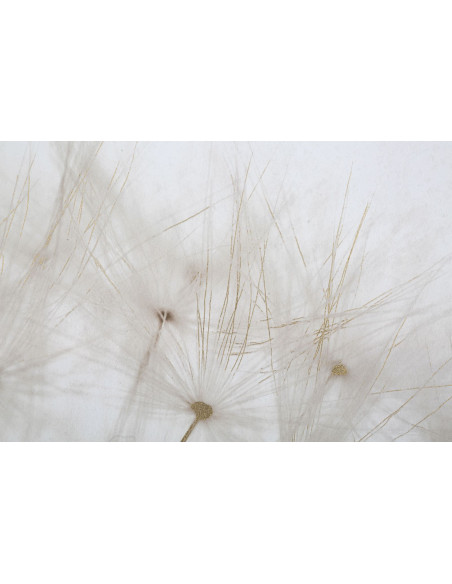 Toile murale imprimée et peinte Pissenlit Blanc Doré 80x120 Dandelion 