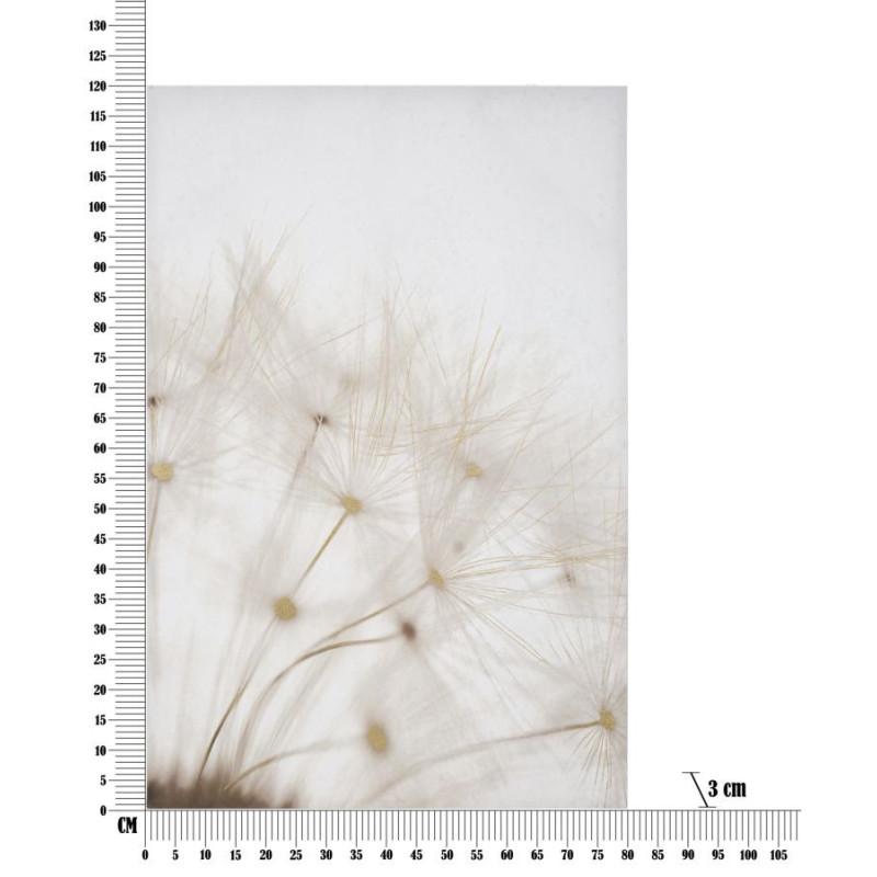 Toile murale imprimée et peinte Pissenlit Blanc Doré 80x120 Dandelion 