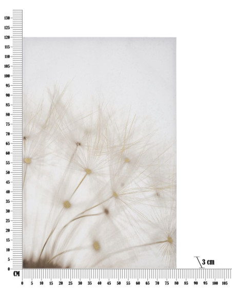 Toile murale imprimée et peinte Pissenlit Blanc Doré 80x120 Dandelion 