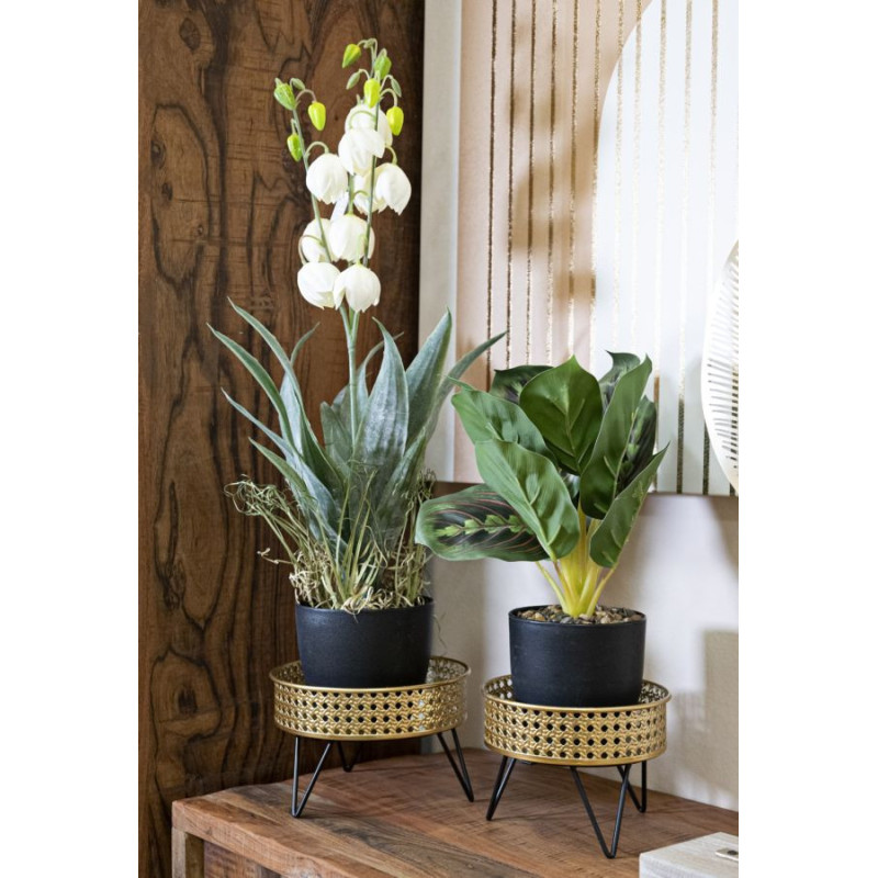 Étagères à plantes modernes en Métal Doré Noir Neril (Lot de 2) 