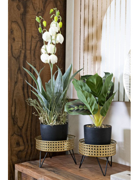 Étagères à plantes modernes en Métal Doré Noir Neril (Lot de 2) 