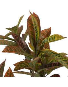 Grande Plante artificielle réaliste Croton Hauteur 150 cm en Plastique Vert Rouge - 2