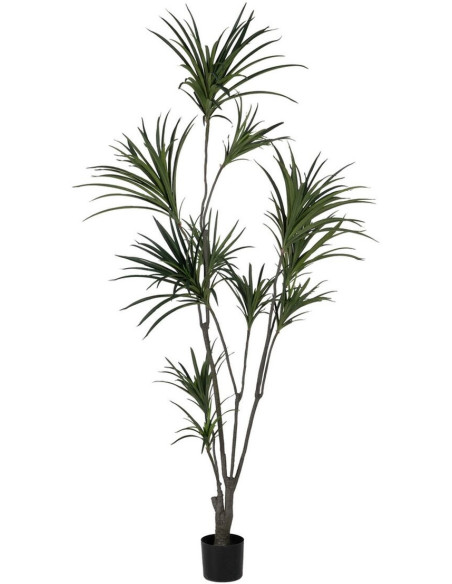 Grande Plante artificielle réaliste Dracaena Hauteur 220 cm en Plastique Vert - 1