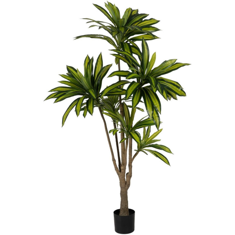 Grande Plante artificielle réaliste Dracaena Hauteur 200 cm en Plastique Vert - 1