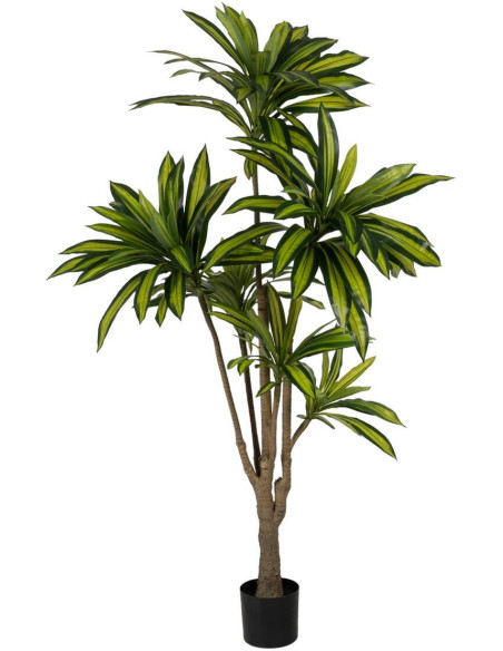 Grande Plante artificielle réaliste Dracaena Hauteur 200 cm en Plastique Vert - 1