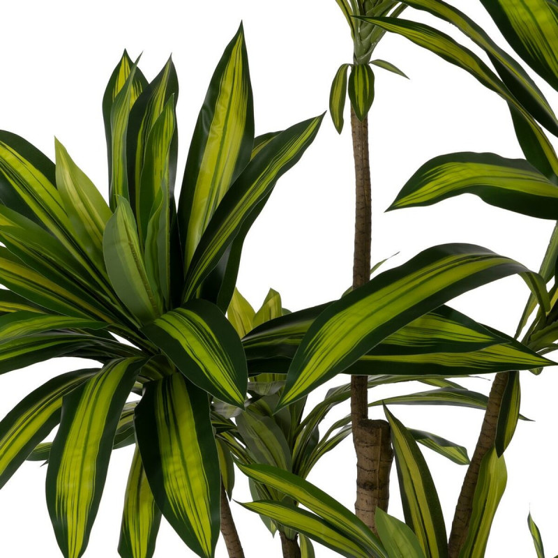 Grande Plante artificielle réaliste Dracaena Hauteur 200 cm en Plastique Vert - 3