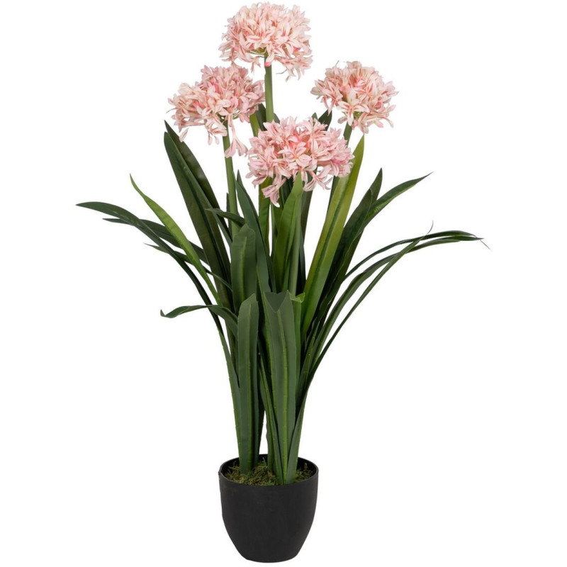 Grande Plante artificielle réaliste Jacinthe Hauteur 100 cm en Plastique Vert Rose - 1