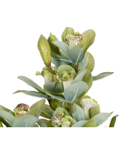 Grande Plante artificielle réaliste Orchidée Verte Hauteur 110 cm en Plastique Vert - 2