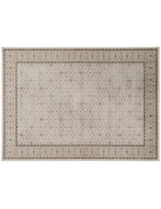 Tapis oriental Rectangulaire 160x230 en Viscose Gris Motif imprimé Salren - 1