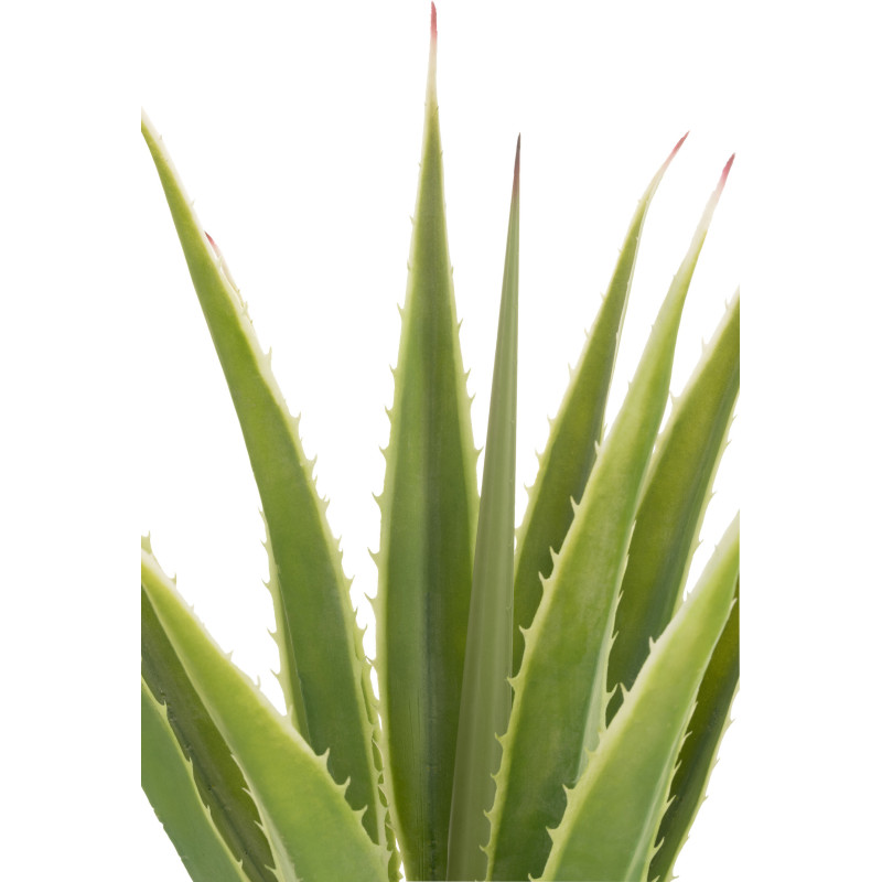 Plante artificielle réaliste Agave Hauteur 115 cm en Plastique Vert - 3