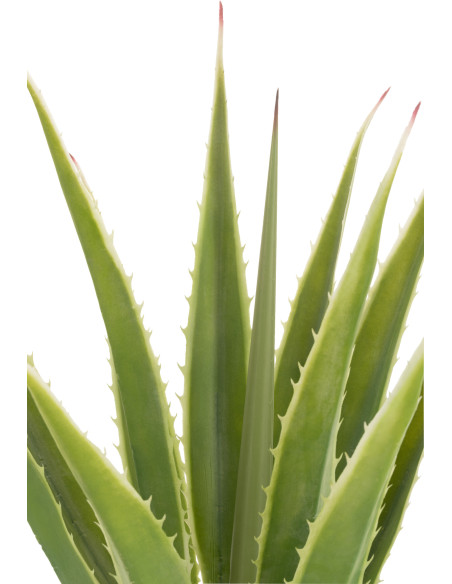 Plante artificielle réaliste Agave Hauteur 115 cm en Plastique Vert - 3
