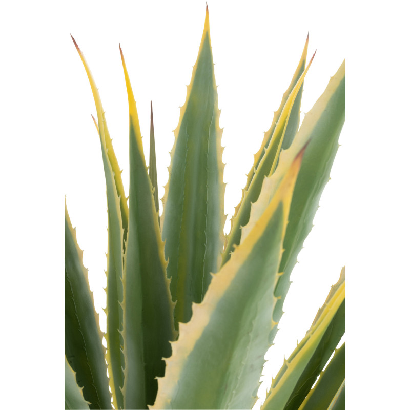 Grande Plante artificielle réaliste Agave Hauteur 135 cm en Plastique Vert - 3