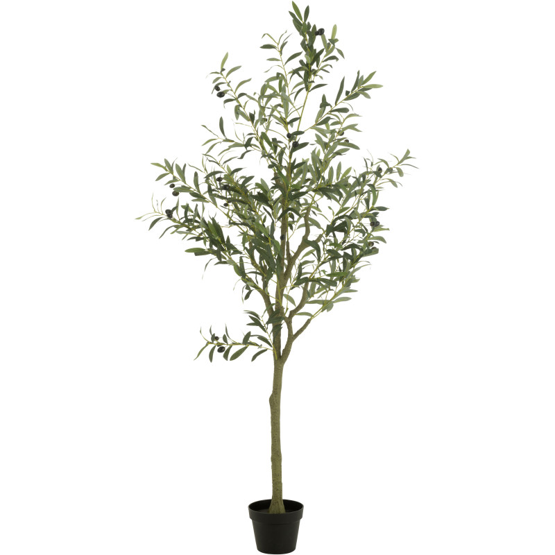 Grand Arbre artificiel réaliste Olivier Hauteur 180 cm en Plastique Vert - 1
