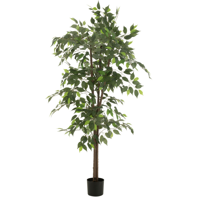 Grande Plante artificielle réaliste Ficus Hauteur 180 cm en Plastique Vert - 1