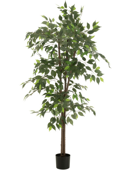 Grande Plante artificielle réaliste Ficus Hauteur 180 cm en Plastique Vert - 1