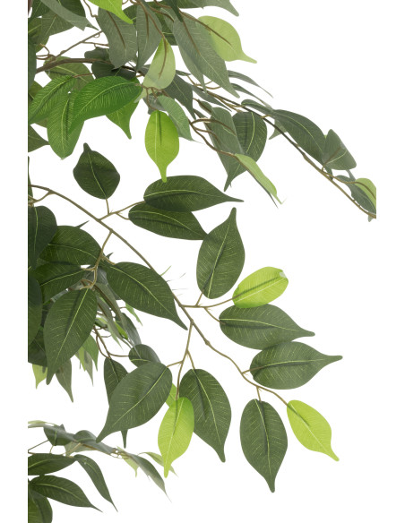 Grande Plante artificielle réaliste Ficus Hauteur 180 cm en Plastique Vert - 2