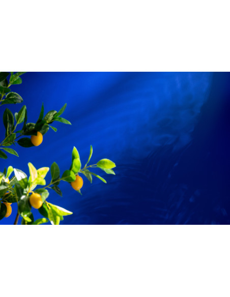 Grand Arbre artificiel réaliste Citronnier Hauteur 130 cm en Plastique Vert Jaune - 4