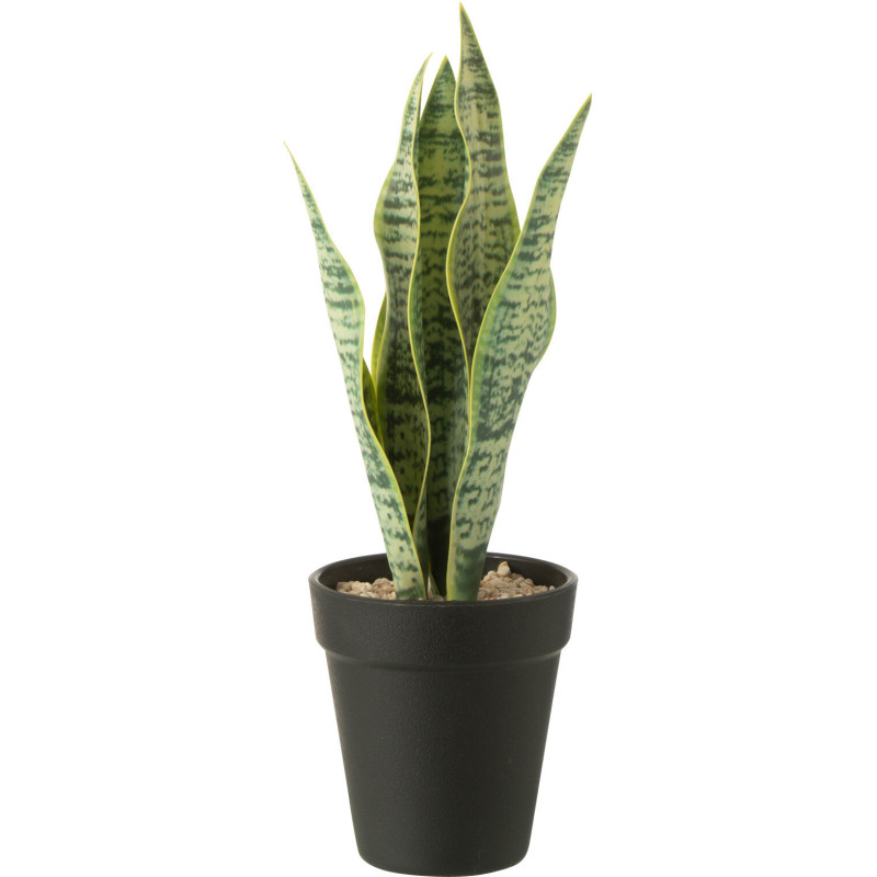 Plante artificielle réaliste Langue de belle mère Dracaena Trifasciata Hauteur 30 cm en Plastique Vert - 1