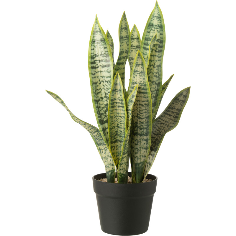 Grande Plante artificielle réaliste Langue de belle mère Dracaena Trifasciata Hauteur 55 cm en Plastique Vert - 1