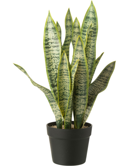 Grande Plante artificielle réaliste Langue de belle mère Dracaena Trifasciata Hauteur 55 cm en Plastique Vert - 1