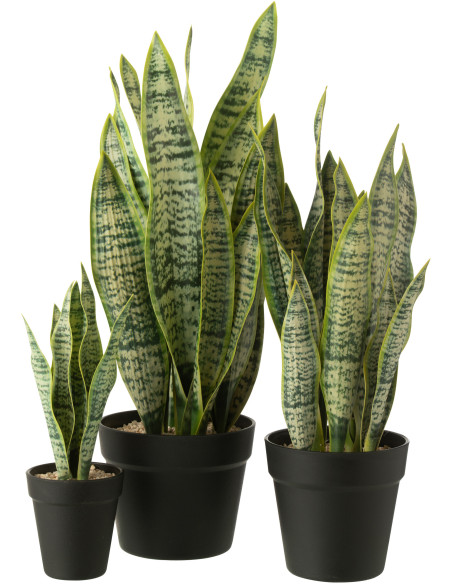Grande Plante artificielle réaliste Langue de belle mère Dracaena Trifasciata Hauteur 55 cm en Plastique Vert - 2