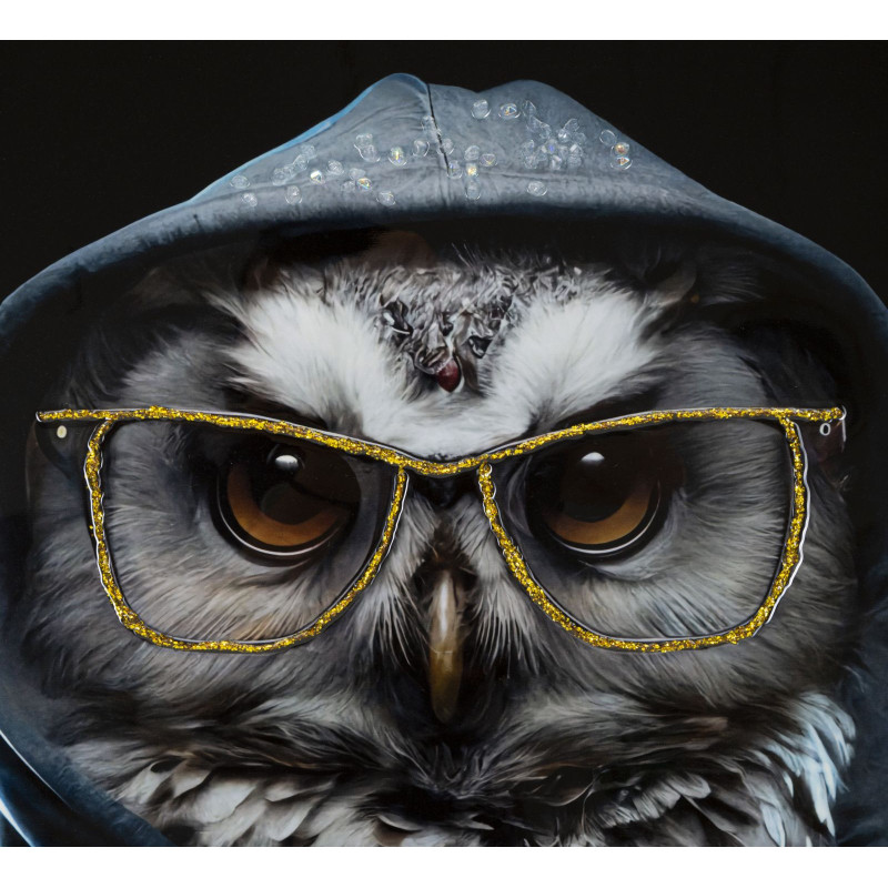 Toile murale peinte Chouette anthropomorphe 53x73 Cadre argenté Edvy 