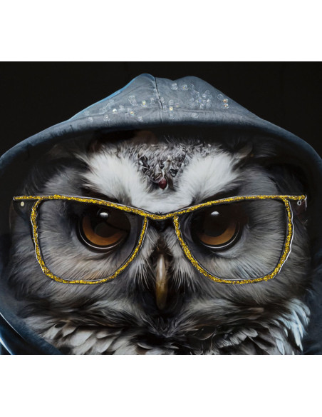 Toile murale peinte Chouette anthropomorphe 53x73 Cadre argenté Edvy 