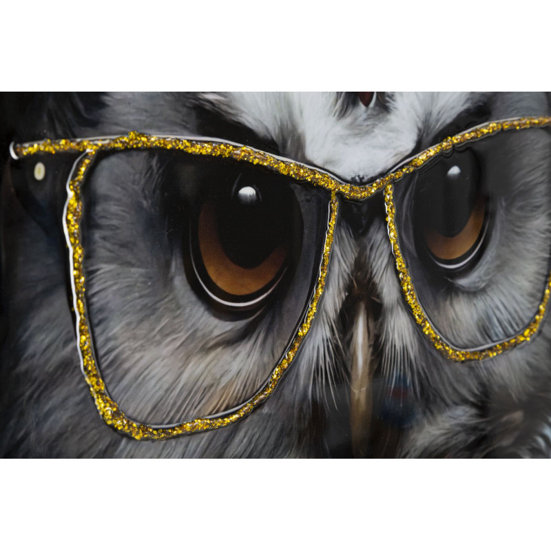 Toile murale peinte Chouette anthropomorphe 53x73 Cadre argenté Edvy 