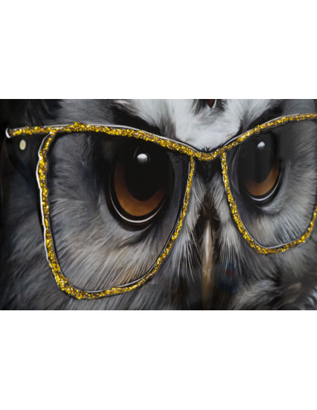 Toile murale peinte Chouette anthropomorphe 53x73 Cadre argenté Edvy 