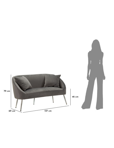 Canapé moderne chic Droit 2 places en Velours Gris Métal Argenté Bois Silvery 