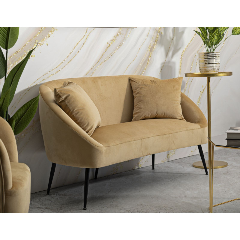 Canapé moderne chic Droit 2 places en Velours Marron Métal Noir Bois Browy 
