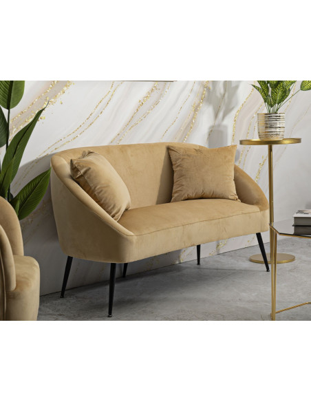 Canapé moderne chic Droit 2 places en Velours Marron Métal Noir Bois Browy 