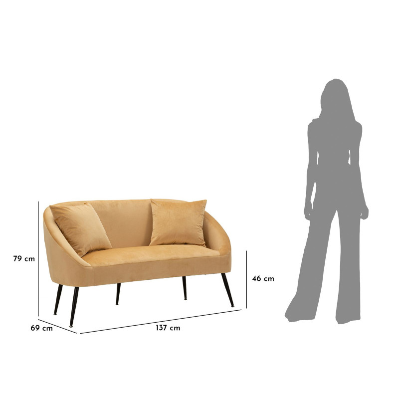 Canapé moderne chic Droit 2 places en Velours Marron Métal Noir Bois Browy 